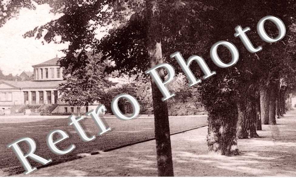 Allee im Hofgarten ...