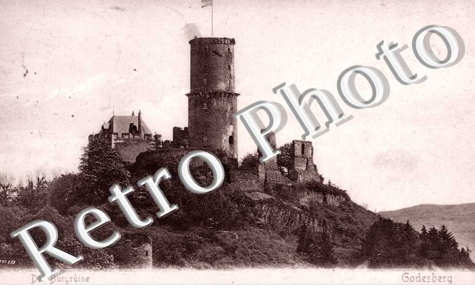 Die Burgruine - Godesberg