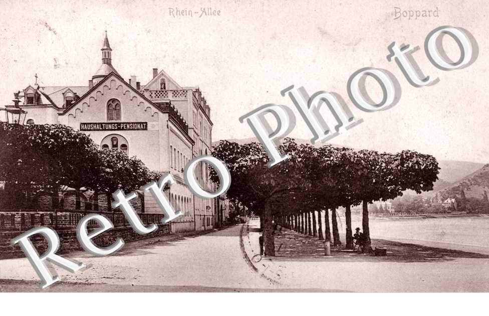 Rhein Allee