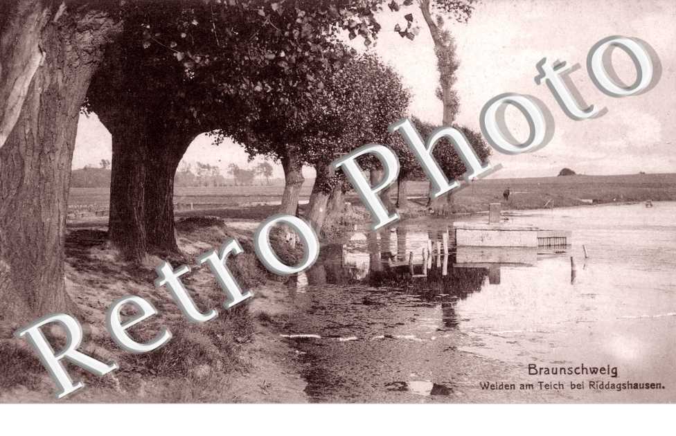 Welden am teich bei Riddagshausen