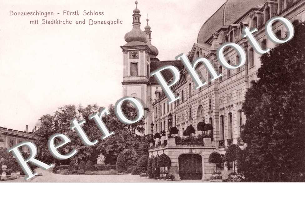 schloss mit stadtkirche und Donauquelle