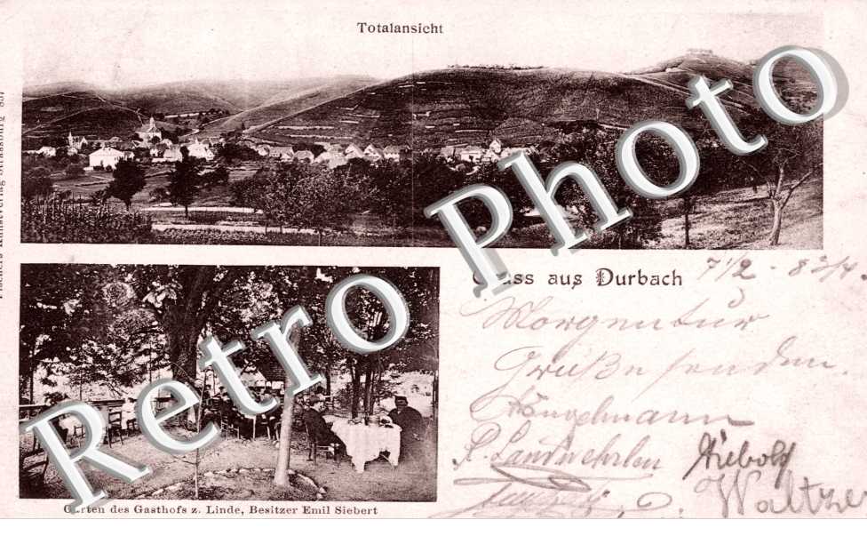 Totalansicht, Garten des Gasthofs zum Linde, Besitzer Emil Siebert