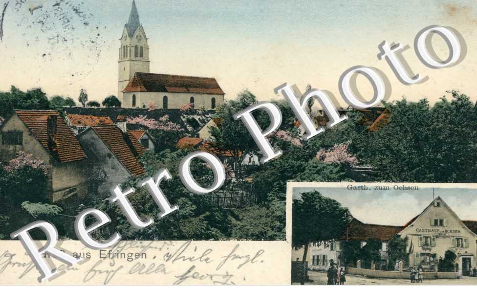Gasthof zum Ochsen