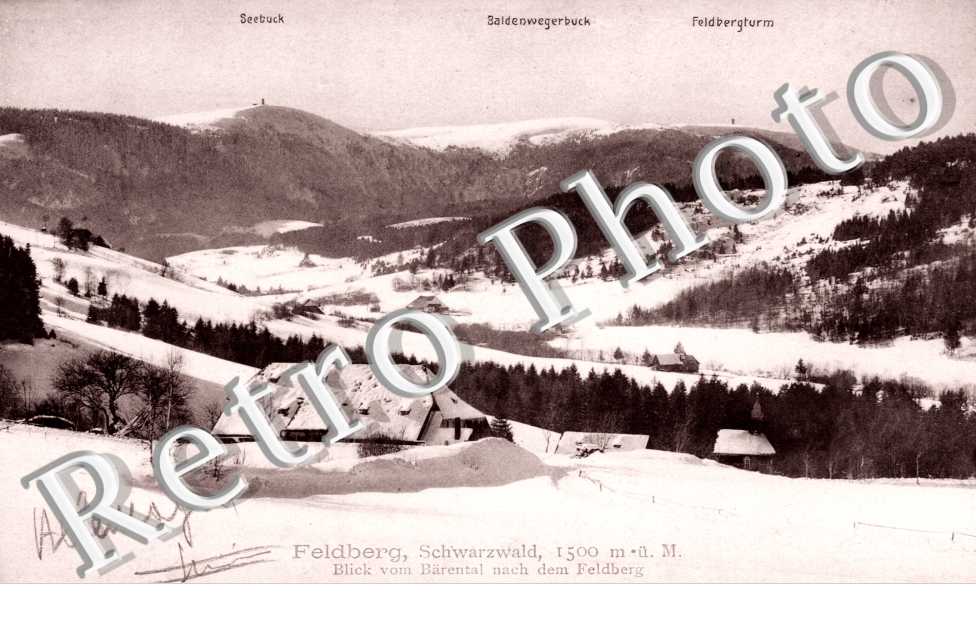 Seebucl, Baldenwegerbuck, Feldbergturm