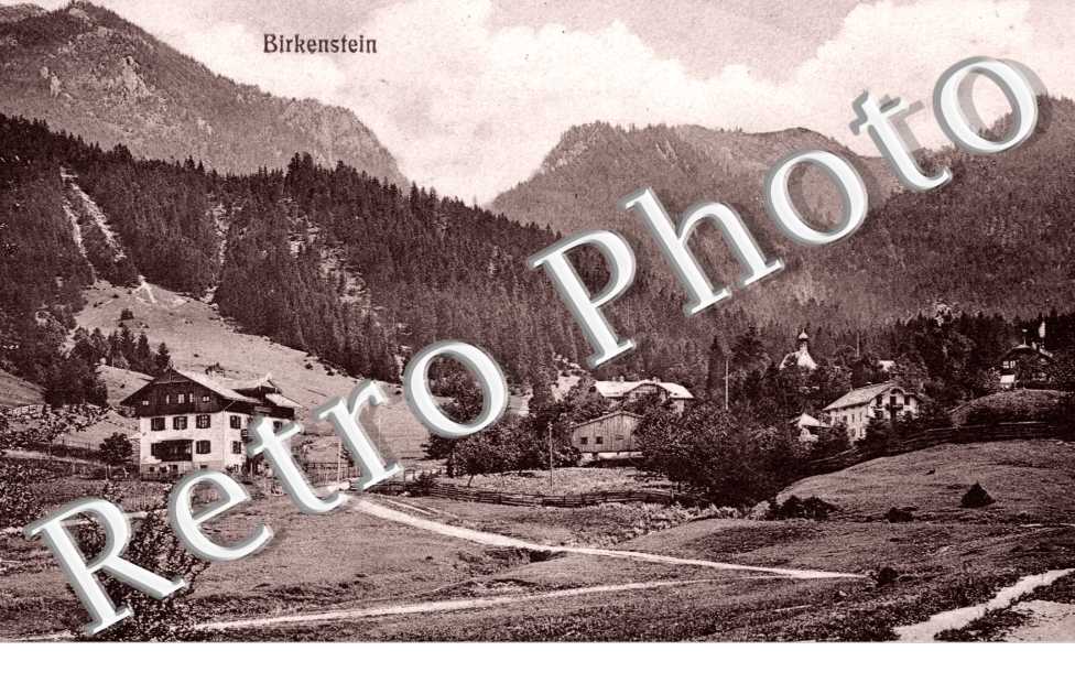 Birkenstein