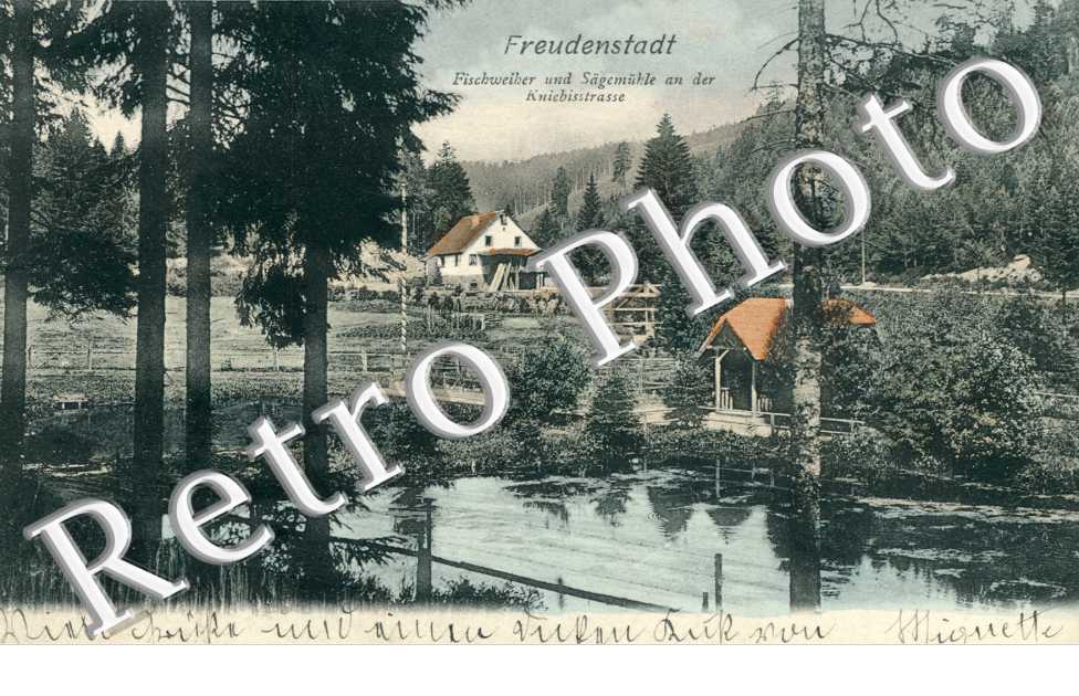 Fischweiher und Sagemuhle an der Kniebstasse