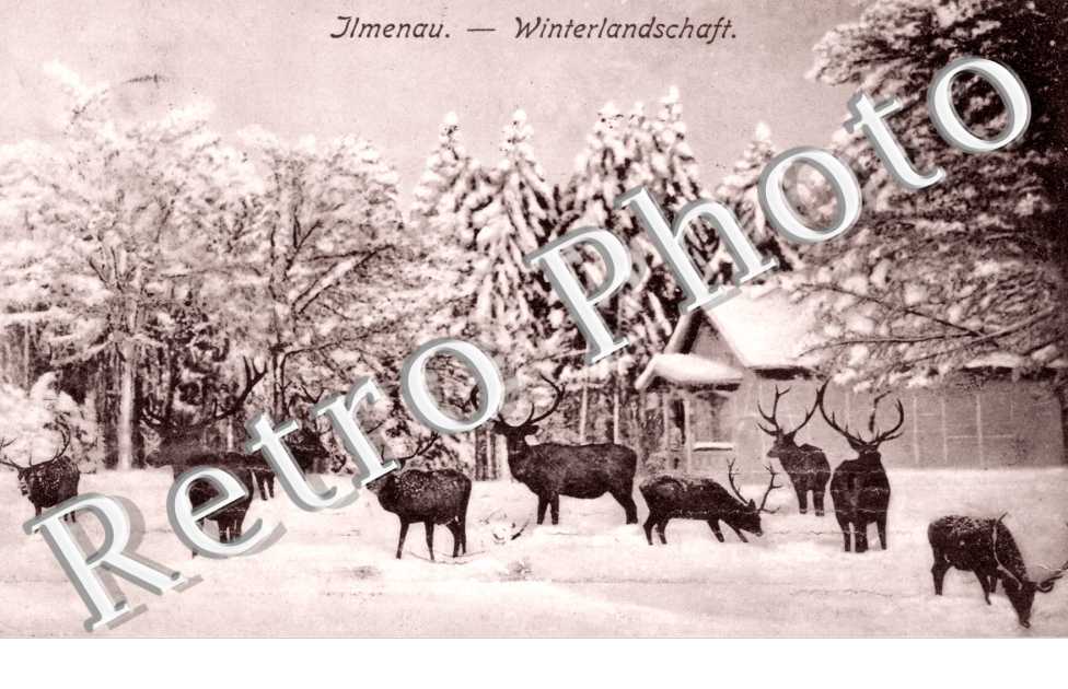 Winterlandschaft