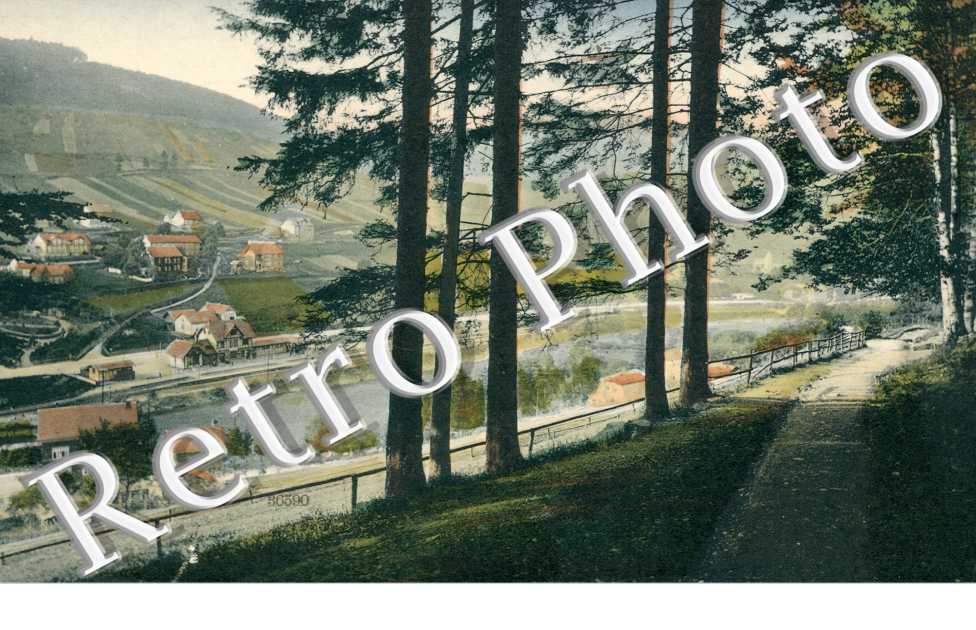 Partie im Manebacher Tal mit Blick auf Bahnhof Manebach