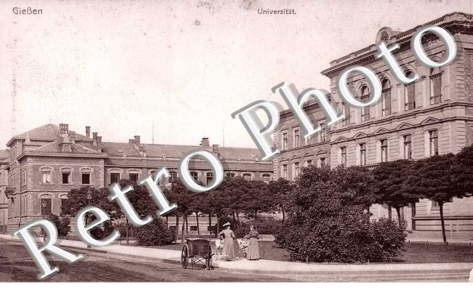 Universitat