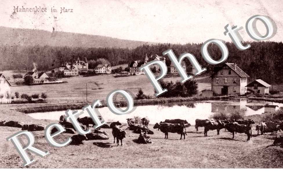 Hahnenklee im Harz