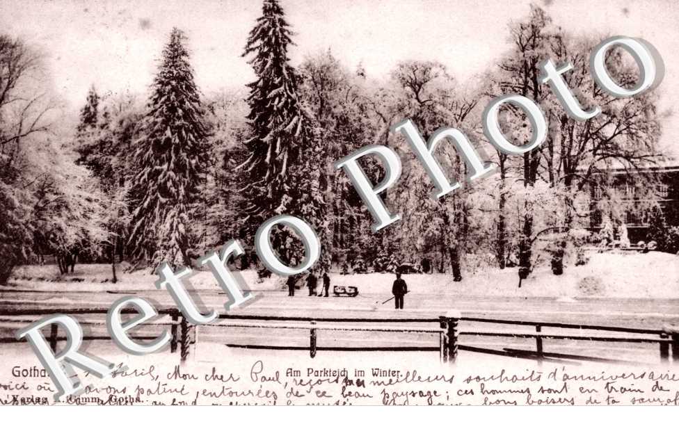 Am Parkteich im Winter