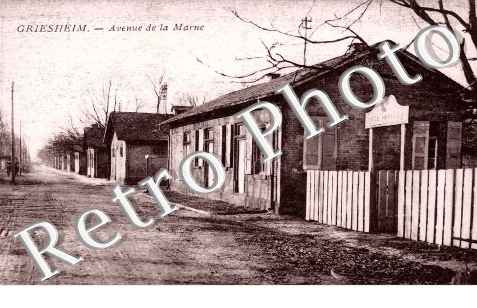 avenue de la marne