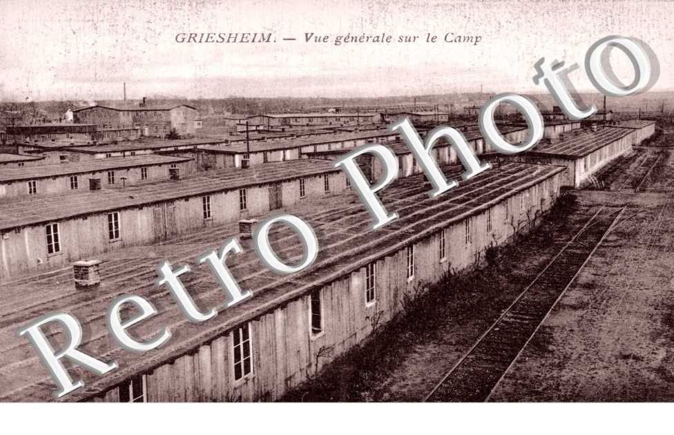 Vue générale sur le camp