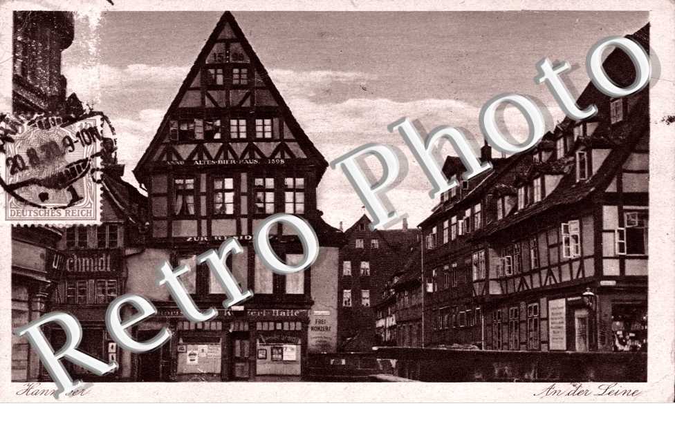 Partie an der Leine