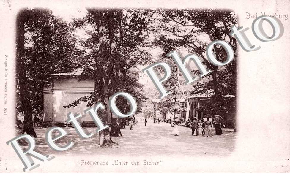 promenade unter de eichen
