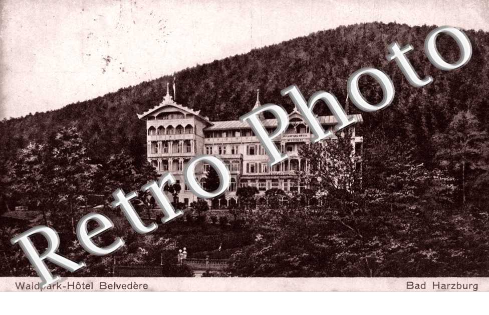 Waldpark-hotel belvedere