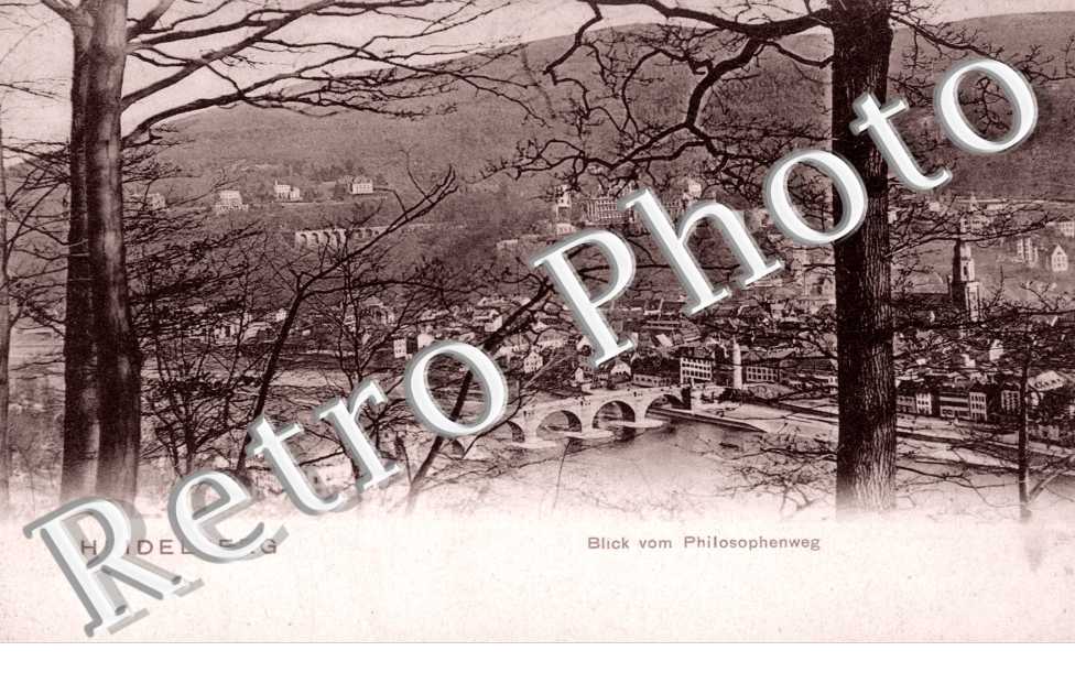 Blick vom Philosophenweg