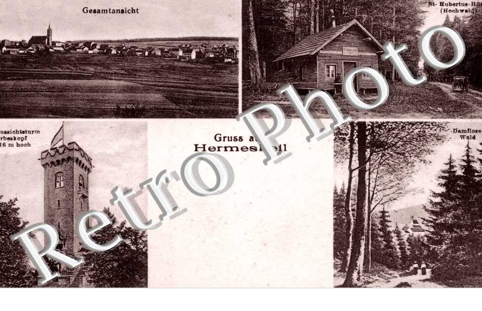 Gesamtansicht, Saint Hubertus-Hutt, Damfloser Wald