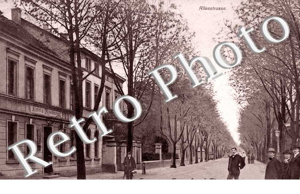Alleestrasse