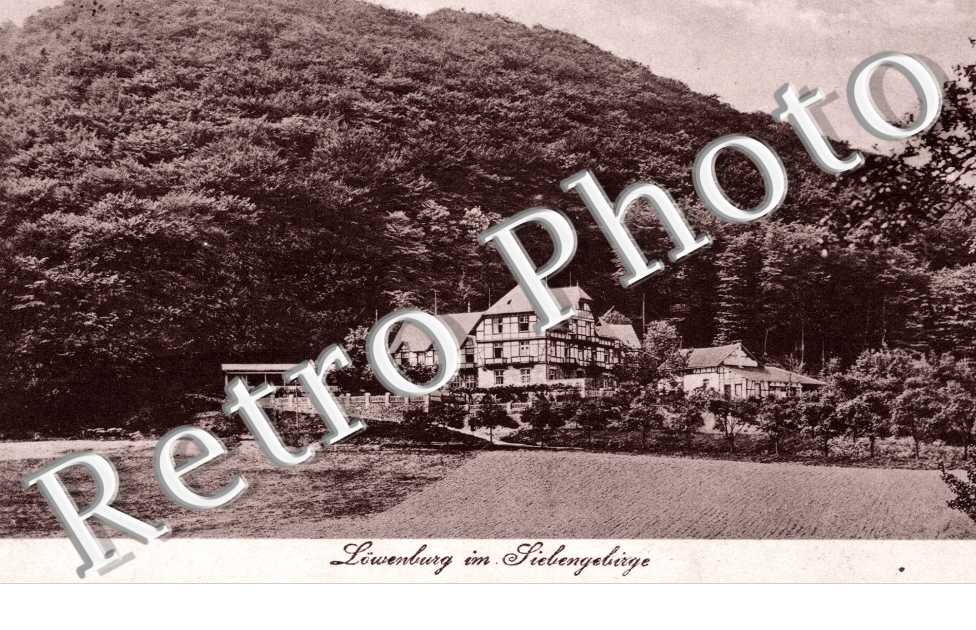 Lowenburg im Siebengebirge