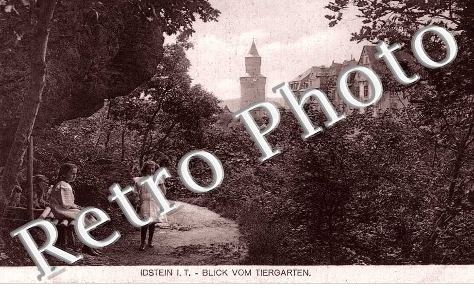 blick vom tiergarten