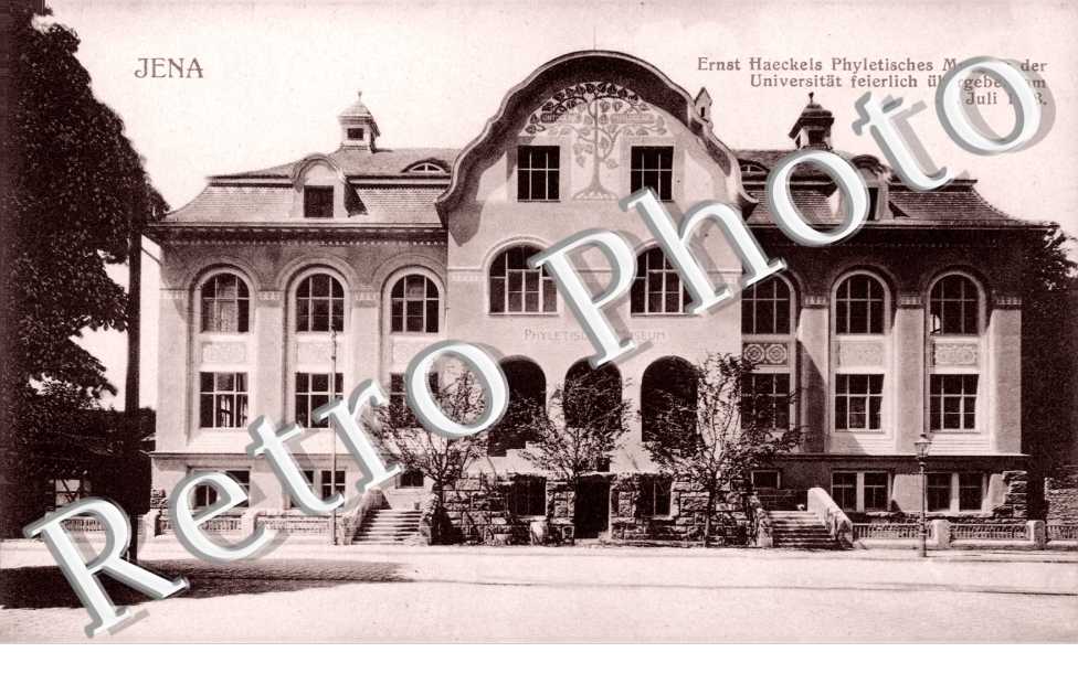 Museum 