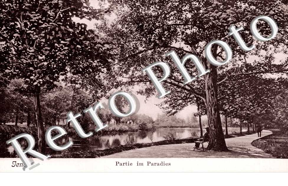 Partie im Paradies