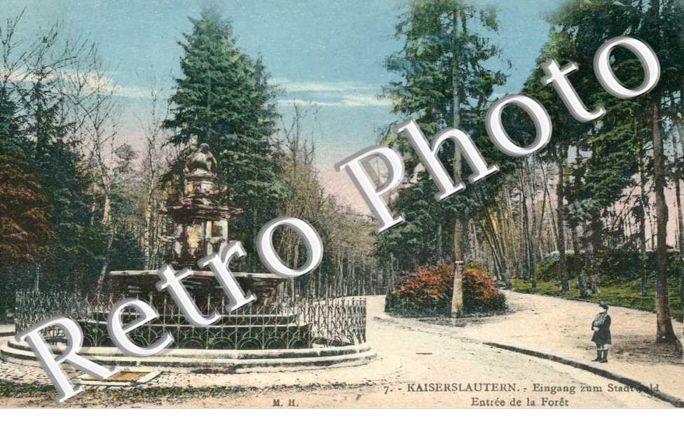 entrée de la Forêt