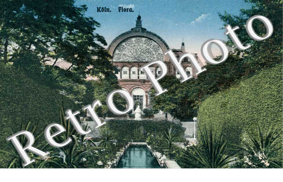 partie in der Flora