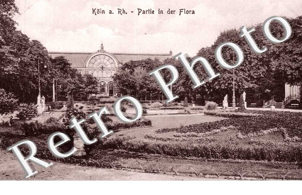 partie in der Flora