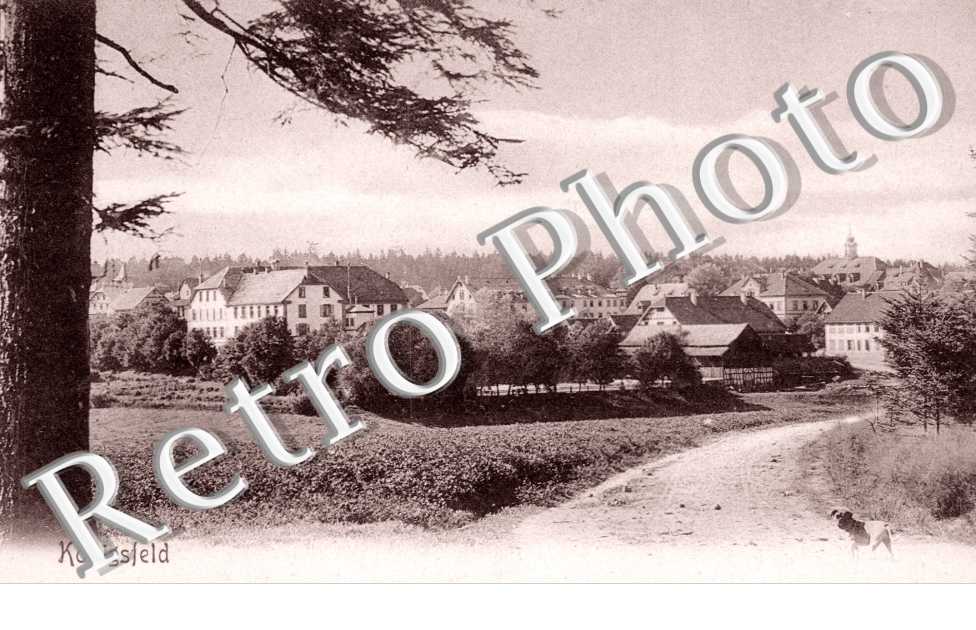 ( une vue )