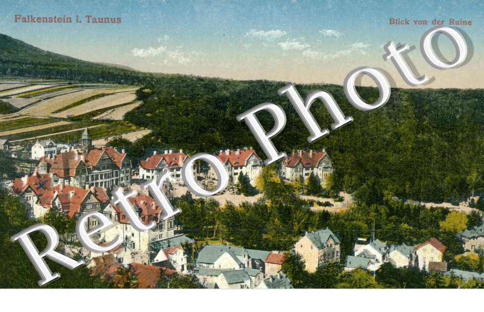 Blick von der Ruine