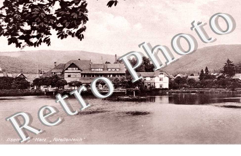 Jilsenburg Harz, Forellenteich