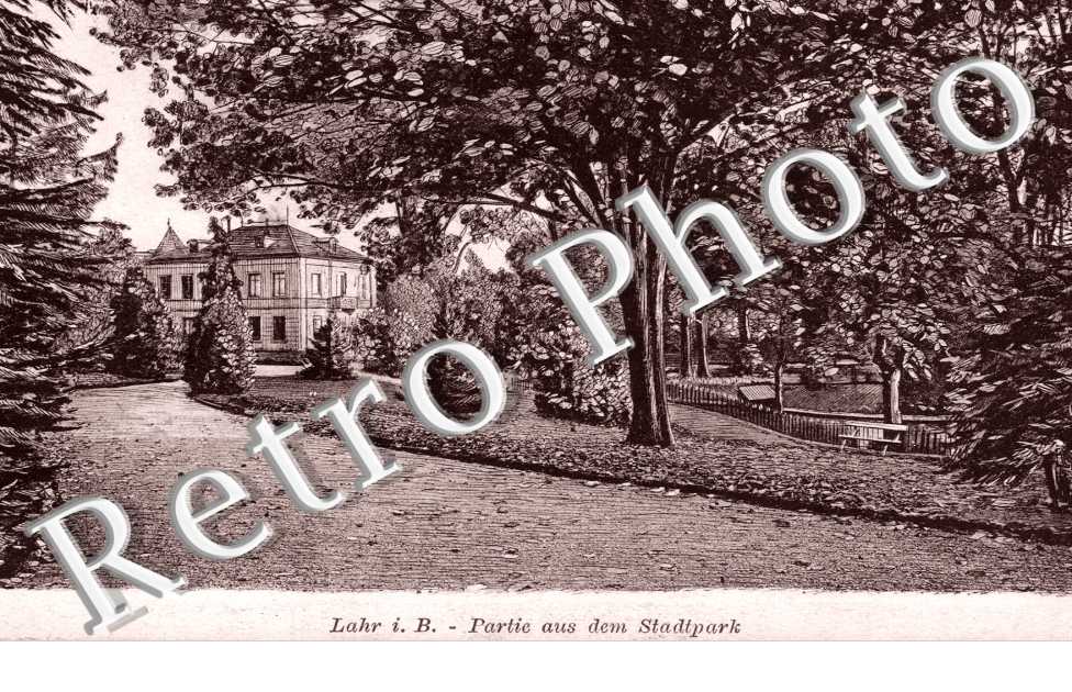 Partie aus dem Stadtpark