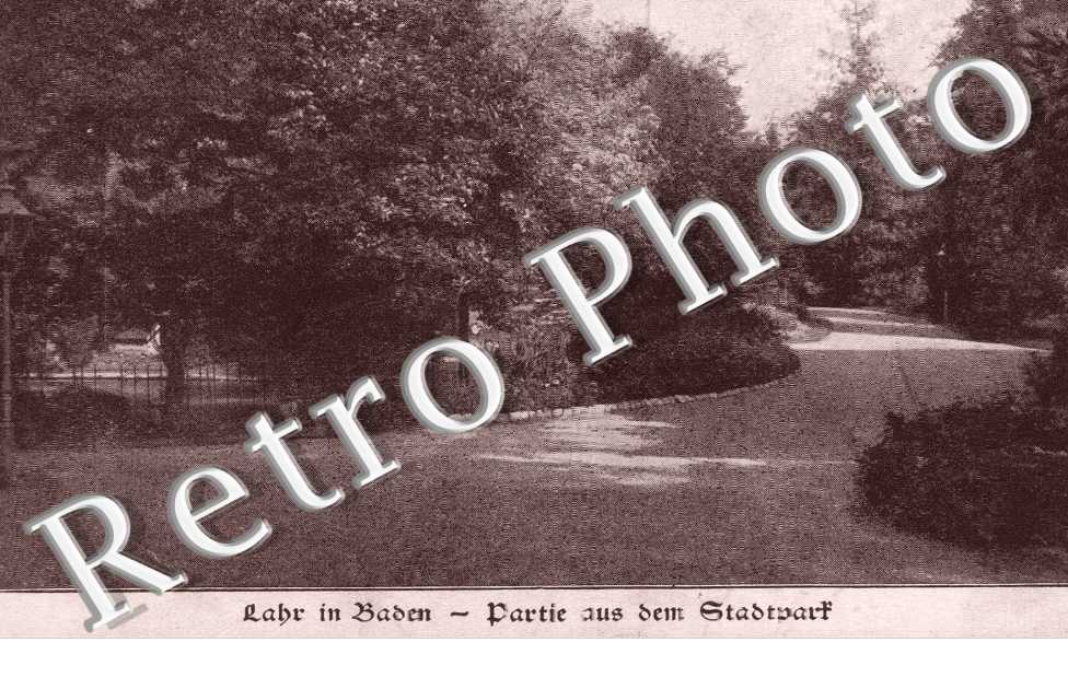 Partie aus dem Stadtpark