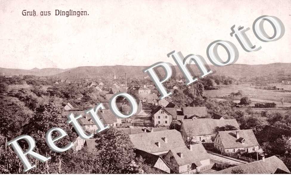 Vue Panoramique