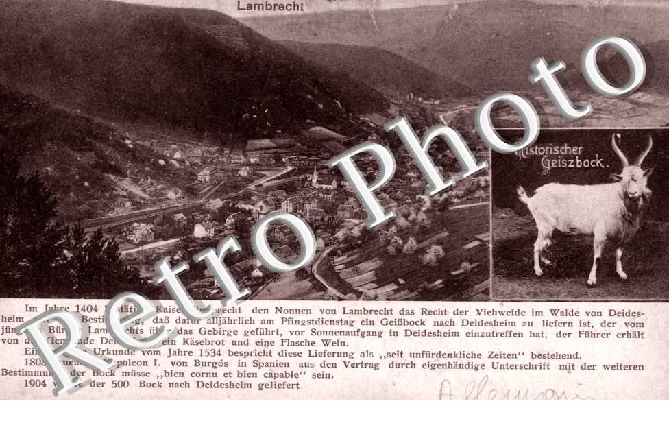 Historischer Geiszbock