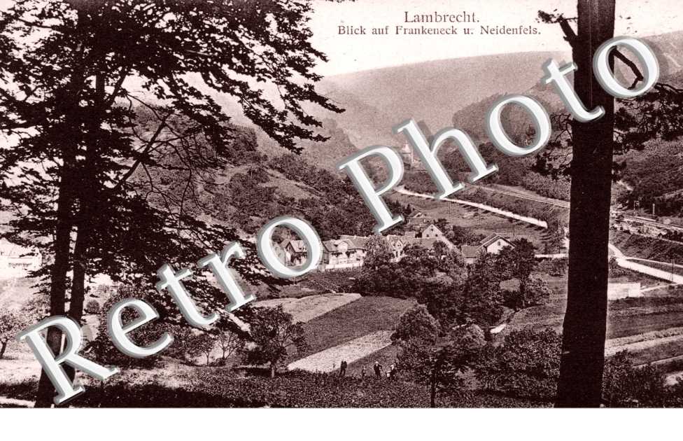 Blick auf Frankeneck und Neidenfels