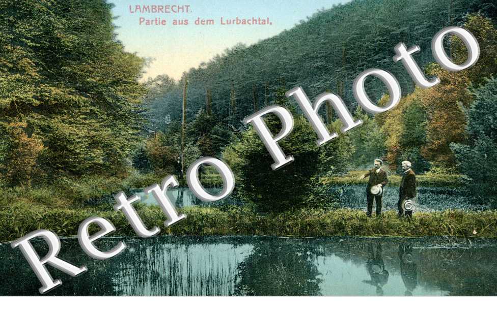 Partie aus dem Lurbachtal