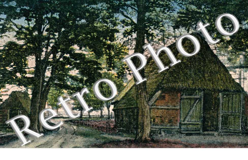 maisons dans la forêt