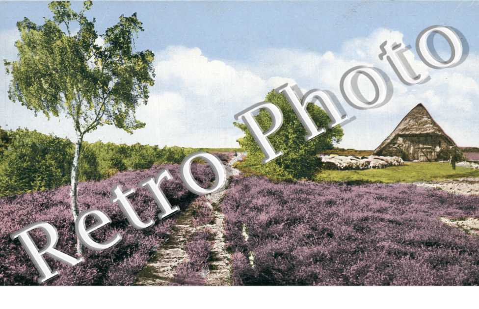 aus de Luneburger Heide