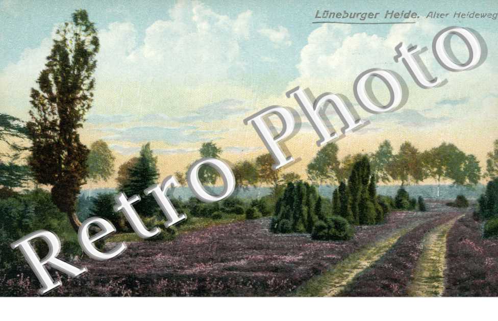 alter heideweg