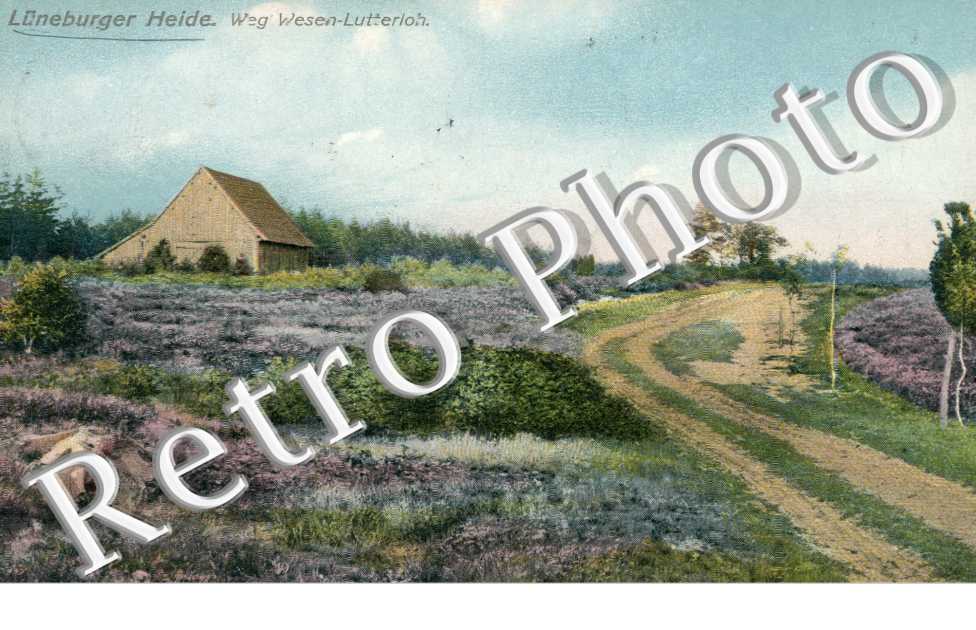 Weg Wesen Lutterloh
