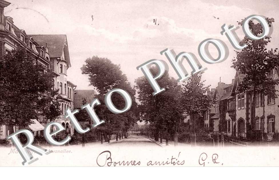 Schwanallee