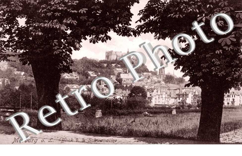 Blick v. o. Schwanallee