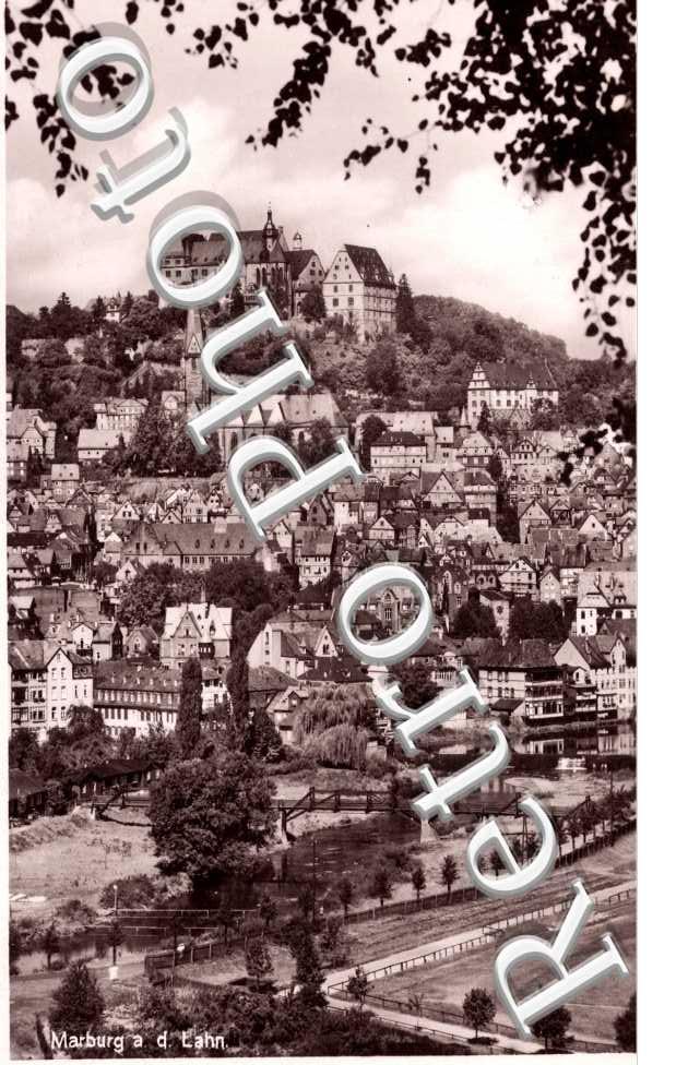 Vue générale 