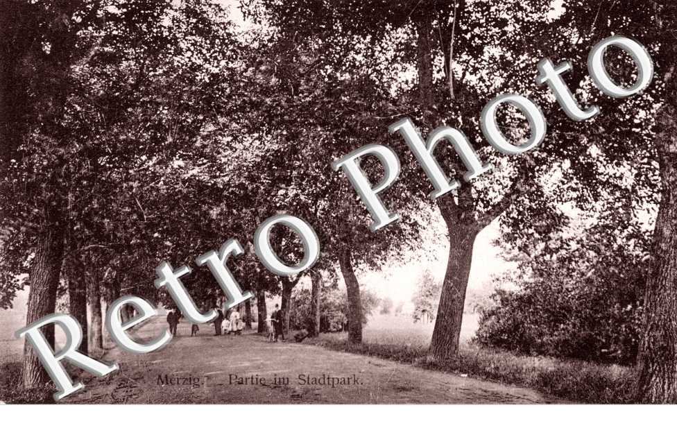 Partie im Stadtpark