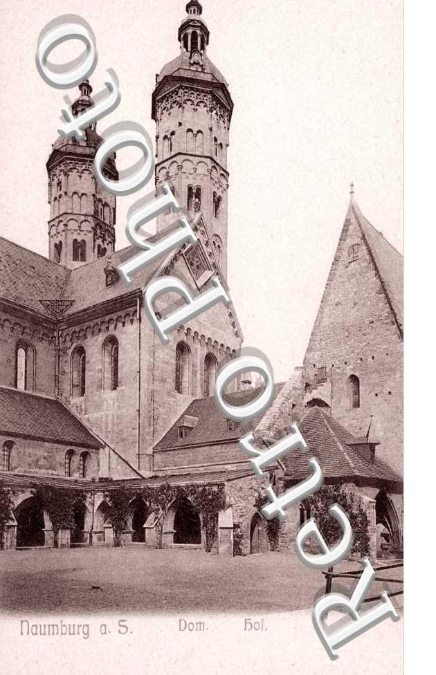 Dom Hof.