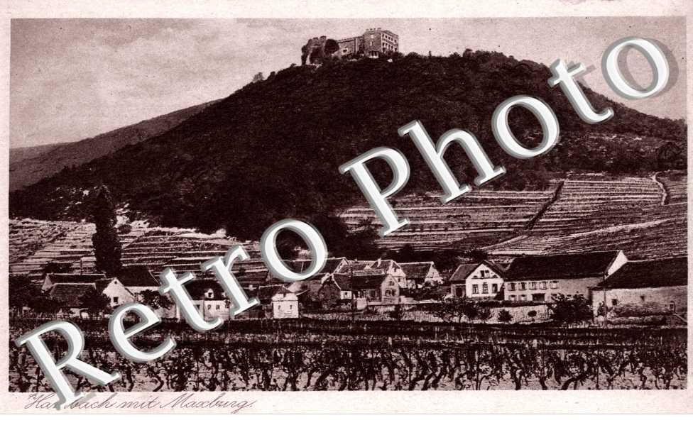 hambach mit maxburg