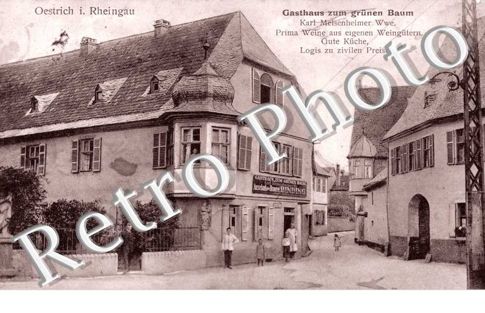 Gasthaus zum grunen Baum
